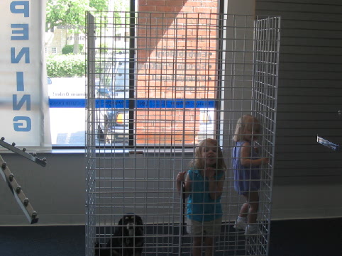 2006_06_17 Maddie Jane n Cate caged.jpg